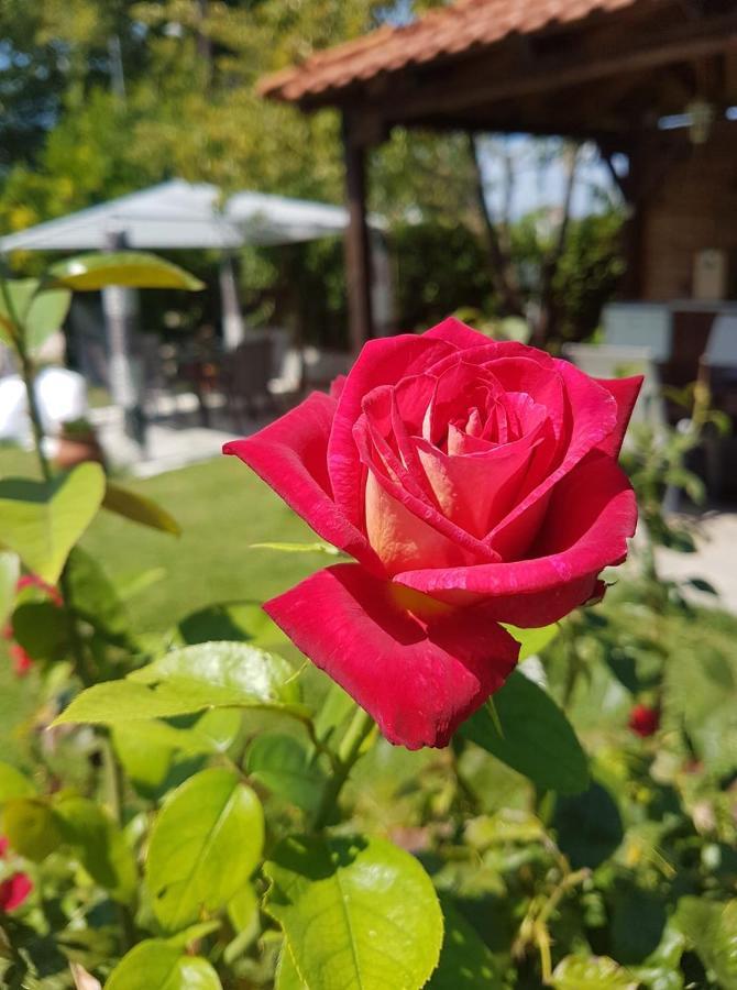 Villa Valeria Thassos Экстерьер фото